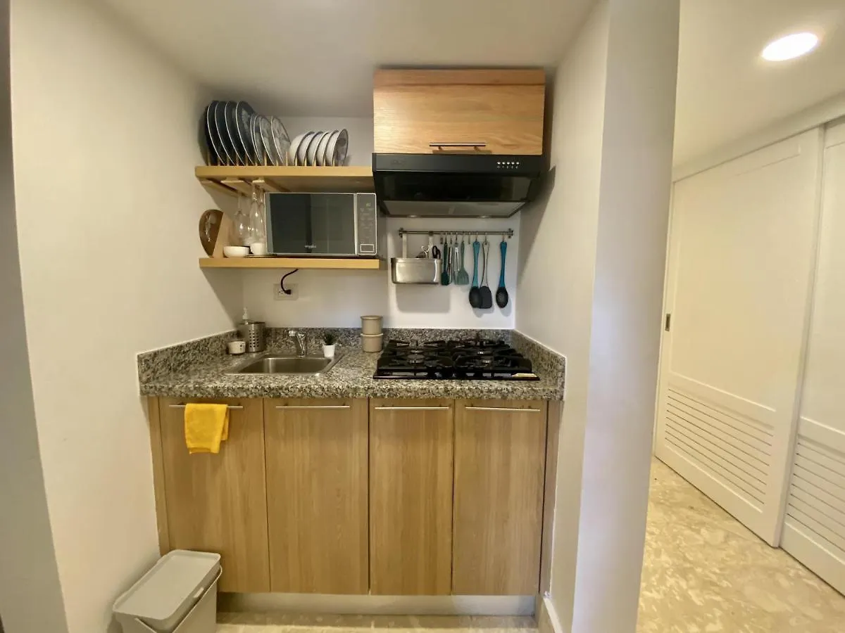 Apartment Amazing Studio At Green One Ba6 Munoz Dominican Republic